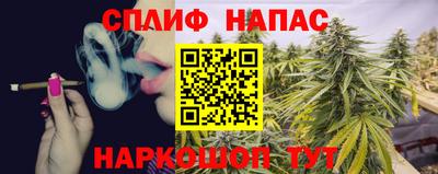 винт Обь