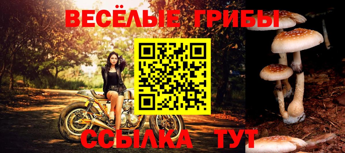 Псилоцибиновые грибы мицелий  Вход с VPN  купить наркоту  Тольятти 