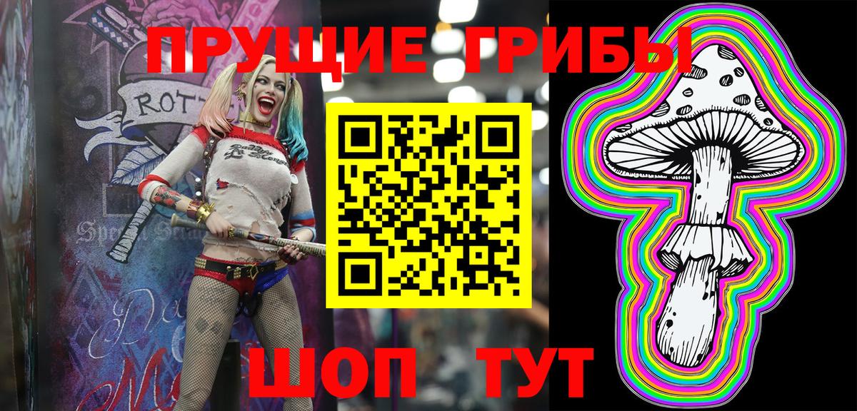 Псилоцибиновые грибы Psilocybe Тольятти