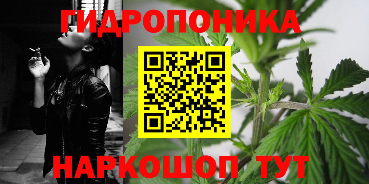 Бошки марихуана AK-47  Марихуана индика  Тольятти  Канабис планчик  Вход с VPN 